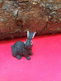 tiny black hare scenic