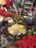 Two hedgehogs on a leaf