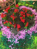 red flowers