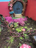 fairy garden with door