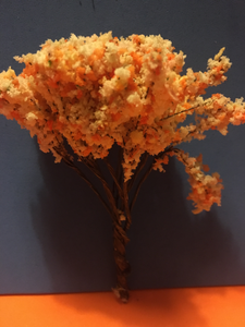 mini flowering tree