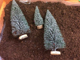three miniature trees