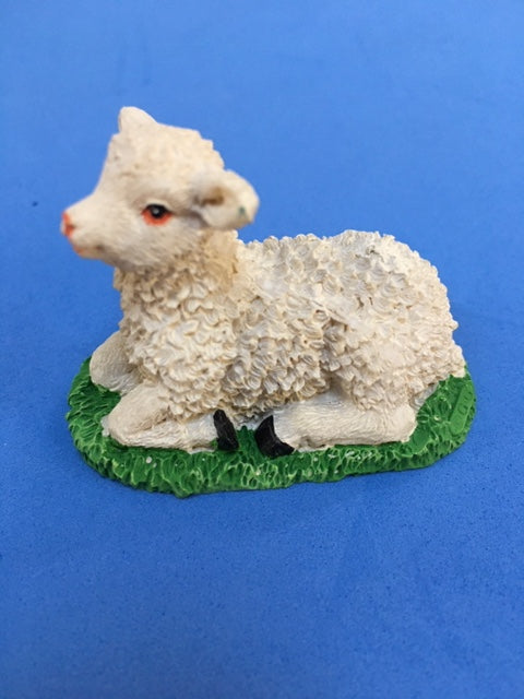 Mini sheep