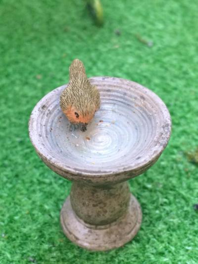 mini bird bath with robin