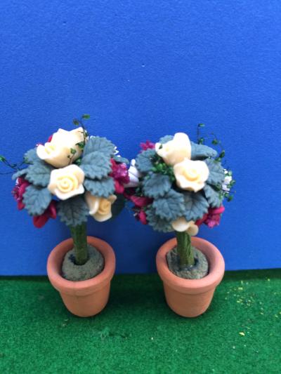 Roses in ceramic pots