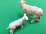 Lamb (left) and sheep facing backwards