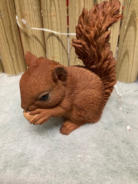 Ornamental Squirrel
